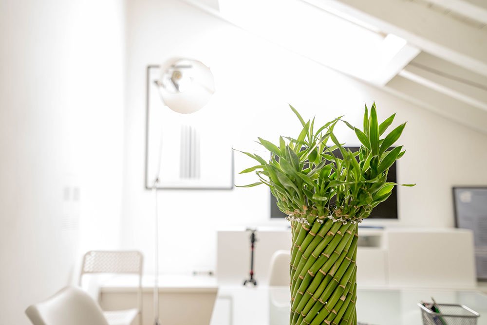  best renovation company Toronto